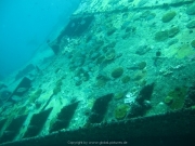 punta-cana-dive-10