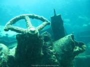 punta-cana-dive-14