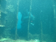 punta-cana-dive-18