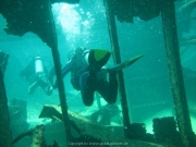 punta-cana-dive-19