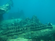 punta-cana-dive-26