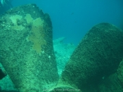 punta-cana-dive-27