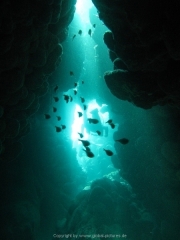punta-cana-dive-35
