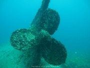 punta-cana-dive-60