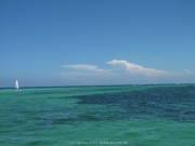 punta-cana-dive-83