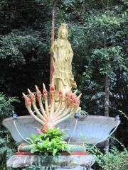 Khao Lak und Phuket - 042