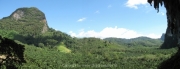 Khao Lak und Phuket - 048
