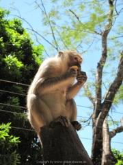 Khao Lak und Phuket - 073