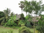 Khao Lak und Phuket - 101