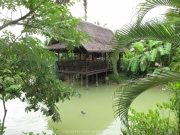 Khao Lak und Phuket - 102