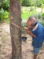 Khao Lak und Phuket - 105