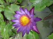 Khao Lak und Phuket - 114