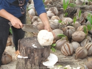 Khao Lak und Phuket - 116