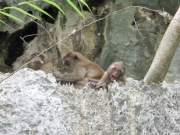 Phang-Nga Bucht - 13