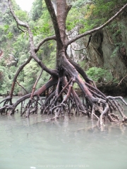 Phang-Nga Bucht - 28
