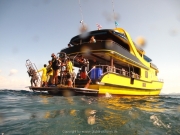 Tauchen Ko Phi Phi - 008
