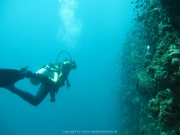 Tauchen Ko Phi Phi - 015