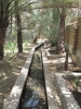 Abu Dhabi - Al Ain City - 18