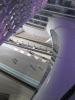 YAS Marina Circuit - by Bike - 31