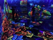 Glowing-Rooms - 17
