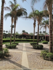 Hurghada 2015 - 003