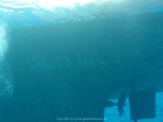 Hurghada 2015 - 033