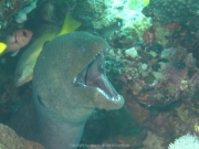 Hurghada 2015 - 050