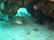 Hurghada 2015 - 052