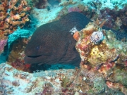 Hurghada 2015 - 060