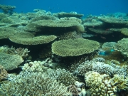 Hurghada 2015 - 065