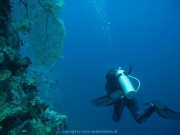 Hurghada 2015 - 080