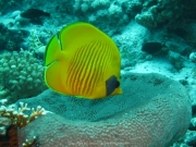 Hurghada 2015 - 087