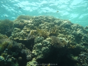 Hurghada 2015 - 104