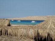 Hurghada 2015 - 152