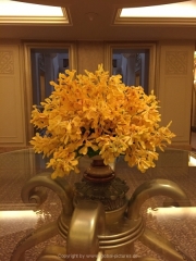 Abu Dhabi 2016 - 016