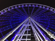 Abu Dhabi 2016 - 045