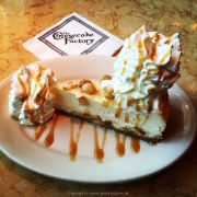 Abu Dhabi 2016 - 084