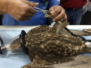 Abu Dhabi 2016 - 141