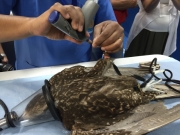 Abu Dhabi 2016 - 142