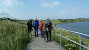 Scharendijke-2016-052