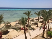 Soma Bay - 004