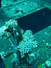Soma Bay - 199