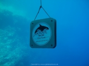 Soma Bay - 258