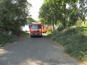 Fuehlinger See 08-2016 - 02
