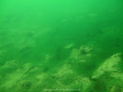 Fuehlinger See 08-2016 - 17