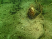 Fuehlinger See 08-2016 - 19