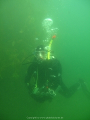 Fuehlinger See 08-2016 - 25