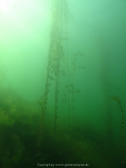 Fuehlinger See 08-2016 - 32