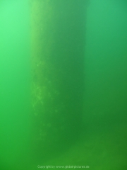 Fuehlinger See 08-2016 - 39