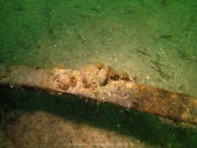Fuehlinger See 08-2016 - 43